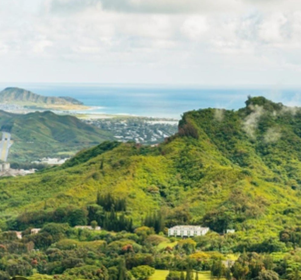 A dense green rainforest with towering mountains in the background.