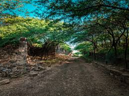 পথিক রাখাল