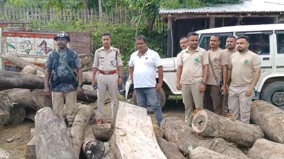 পাথারকান্দির বিভিন্ন স্থানে শ্রীভূমি বন বিভাগের অভিযান, বাজেয়াপ্ত অবৈধ কাঠ ভর্তি দুটি ট্রিপার সহ একটি ব্যান্ড শো মিল